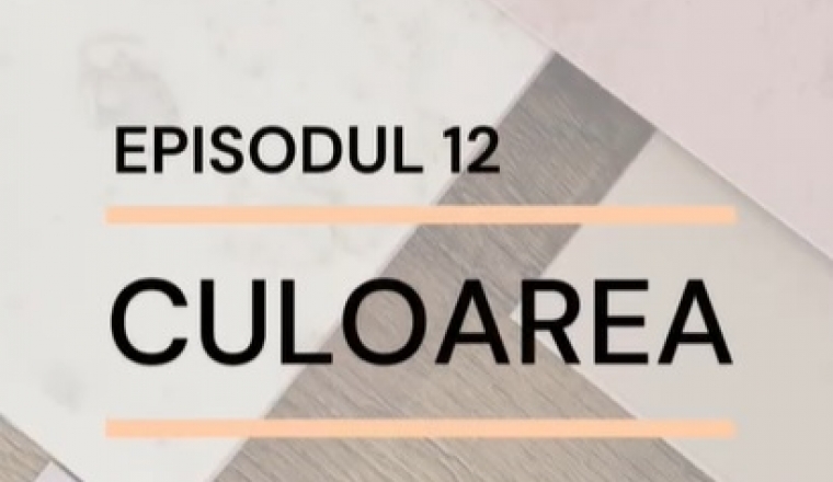 Episodul 12 - Culoarea